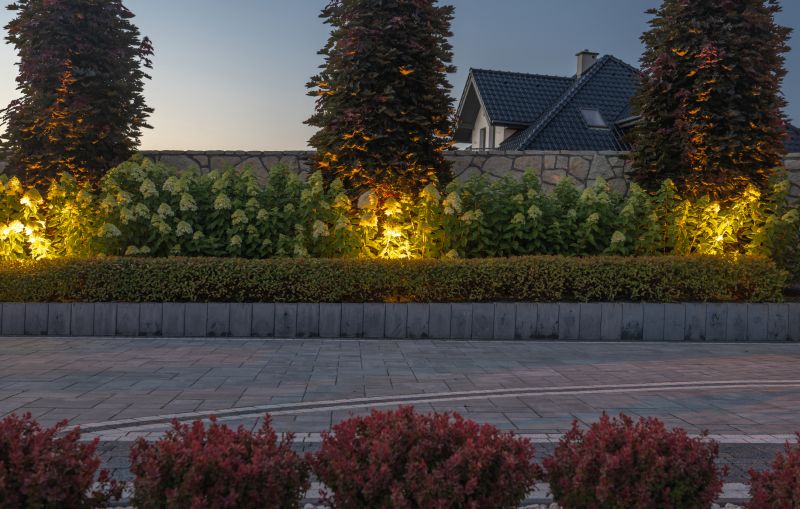 Driveway Pavers Repair detail