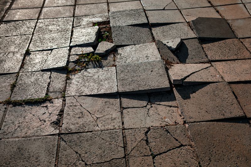 Fall Pavers Repair