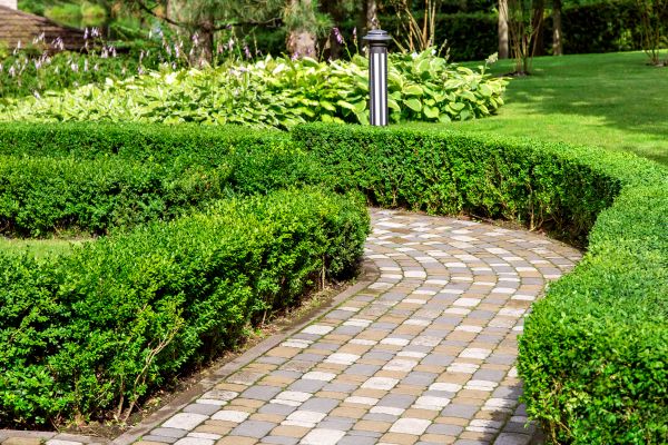 Paved Landscaping in Goodyear
