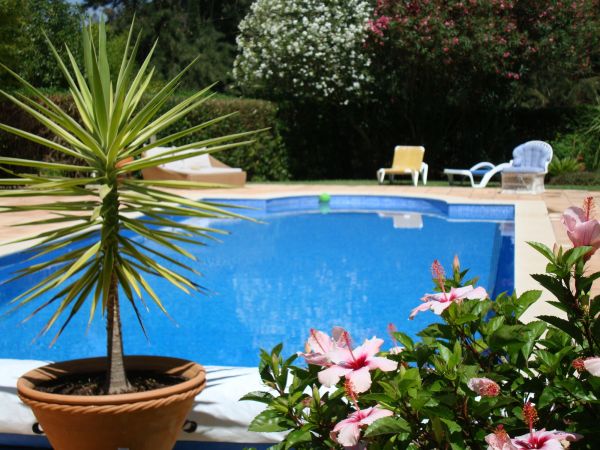 Pool Terrace Renovation in Goodyear
